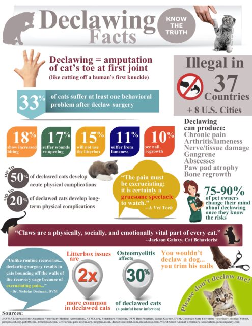 Declawing Facts