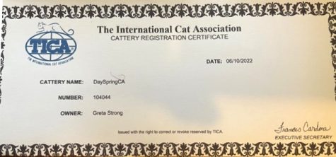 Day Spring TICA Registration